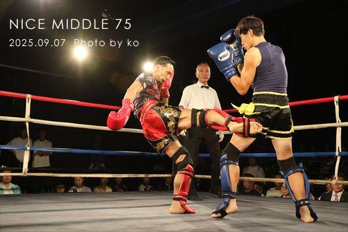 THE FIGHT SLIDE SHOW