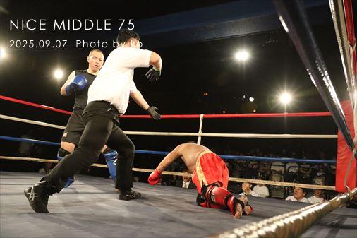 THE FIGHT SLIDE SHOW