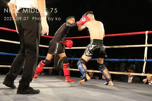 THE FIGHT SLIDE SHOW