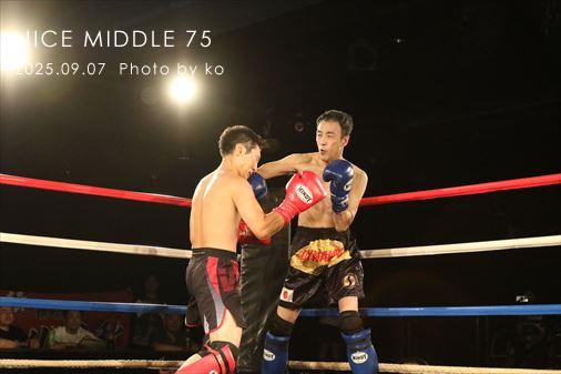 THE FIGHT SLIDE SHOW
