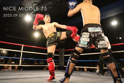 THE FIGHT SLIDE SHOW